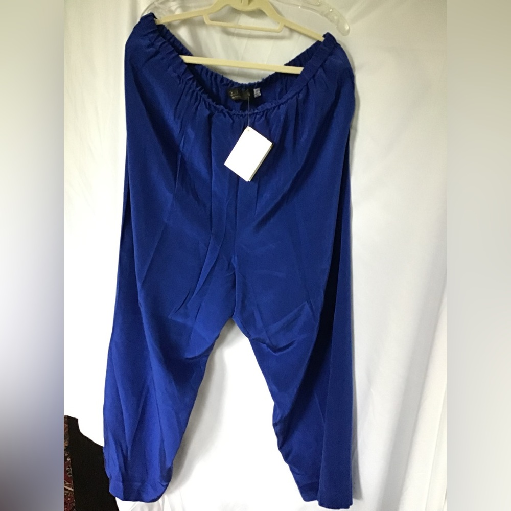 Petite Plus Royal Blue Pants